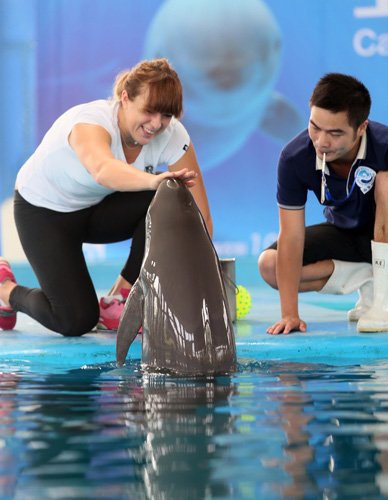 时间缺席 时间缺席